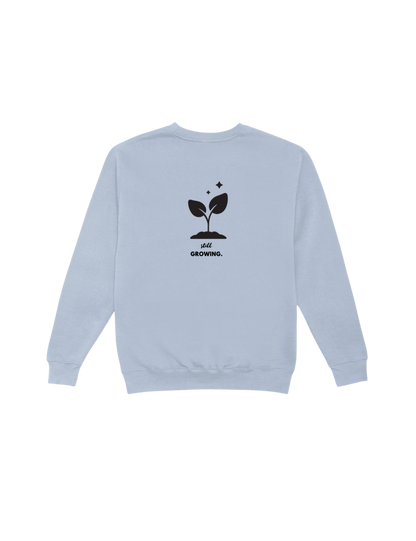Dusty Blue Crewneck Sweatshirt